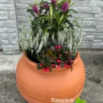 Kombinacija-biljaka-okrugla-žardinjera-003