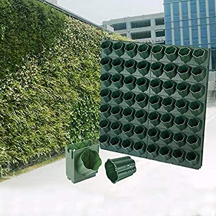 zeleni-zid-gotovo