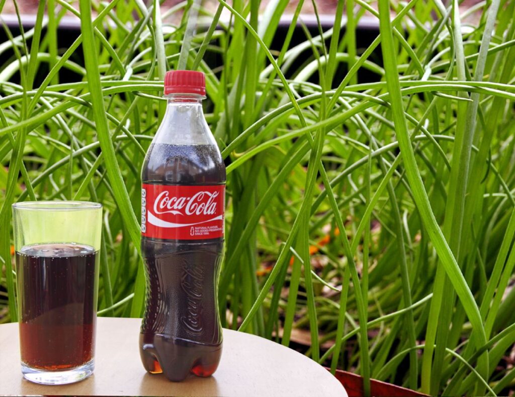 coca-cola-u-vrtu3