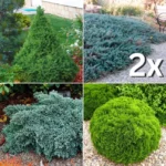 kombinacija-za-mali-prostor-2