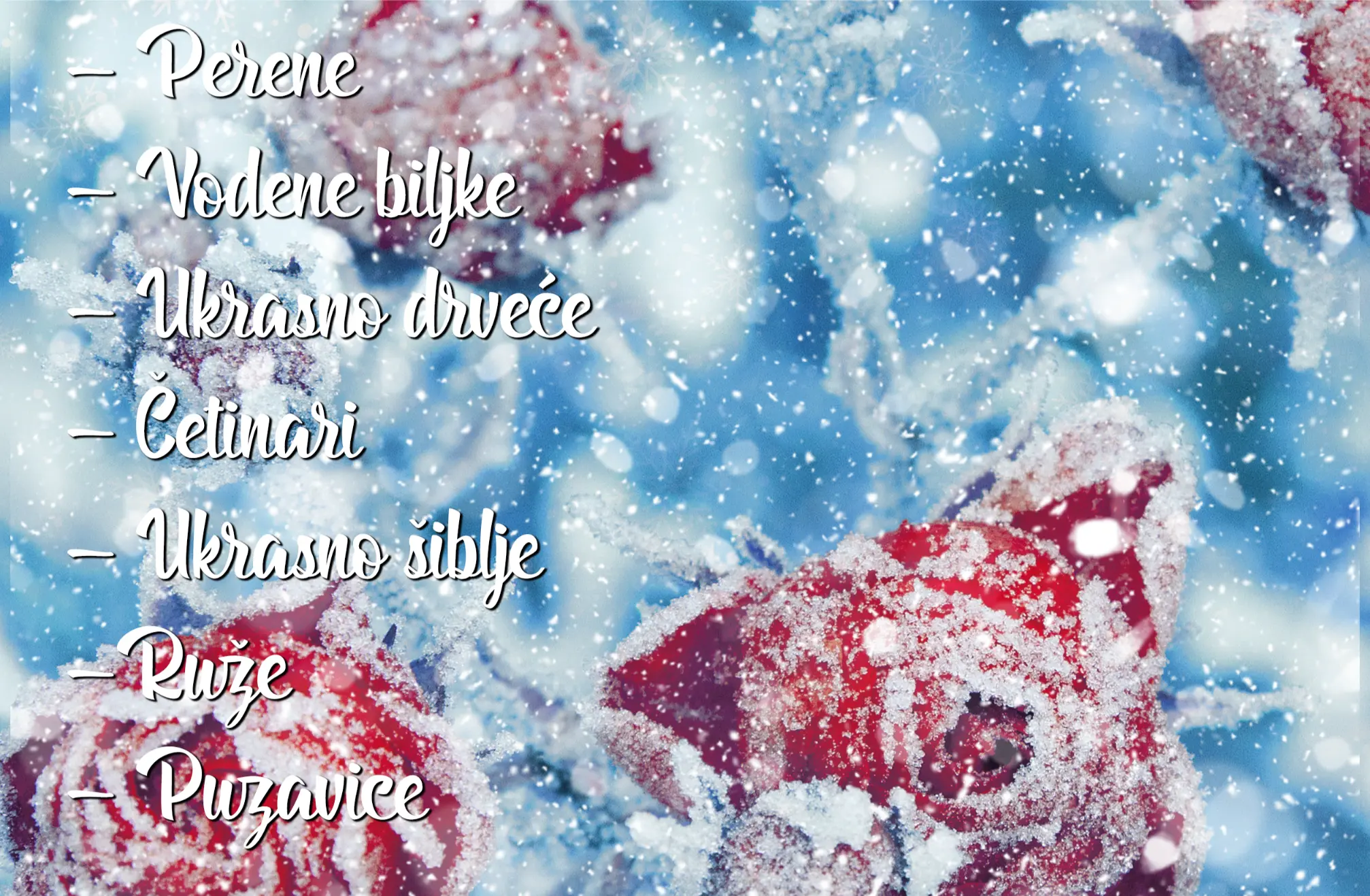 zimski-katalog-2024-rasadnik-mihalek-naslovna