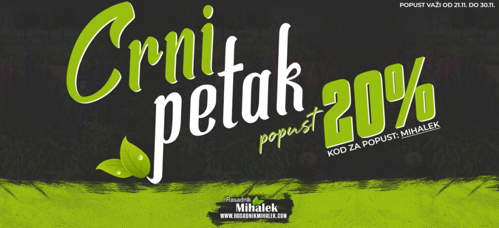 crni petak banner